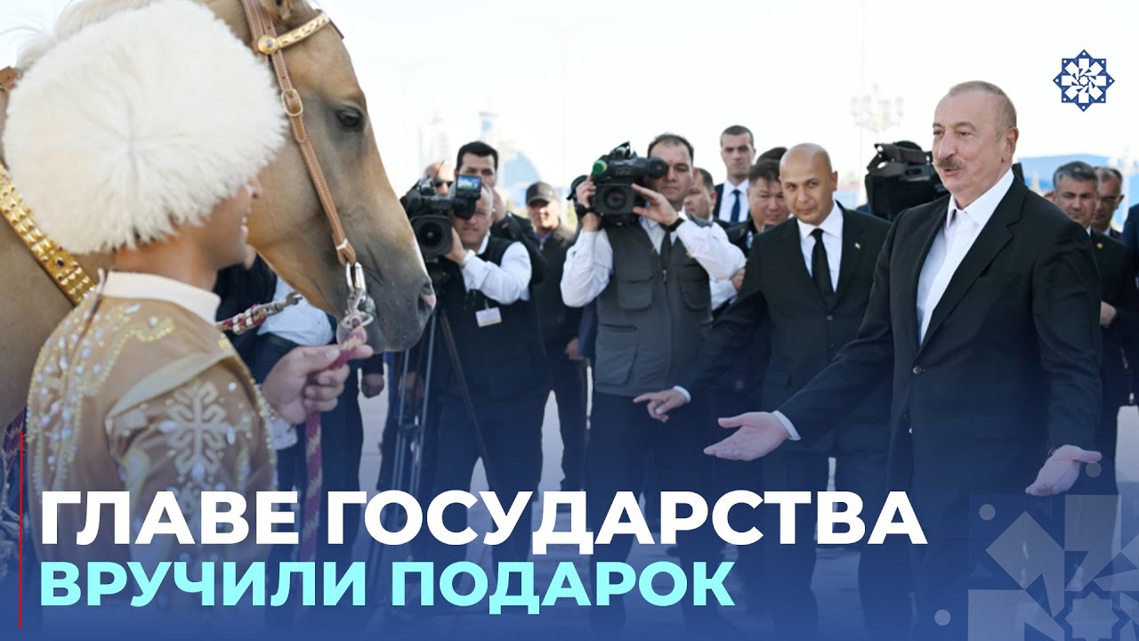 Президенту Азербайджана Ильхаму Алиеву преподнесен в дар ахалтекинский скакун