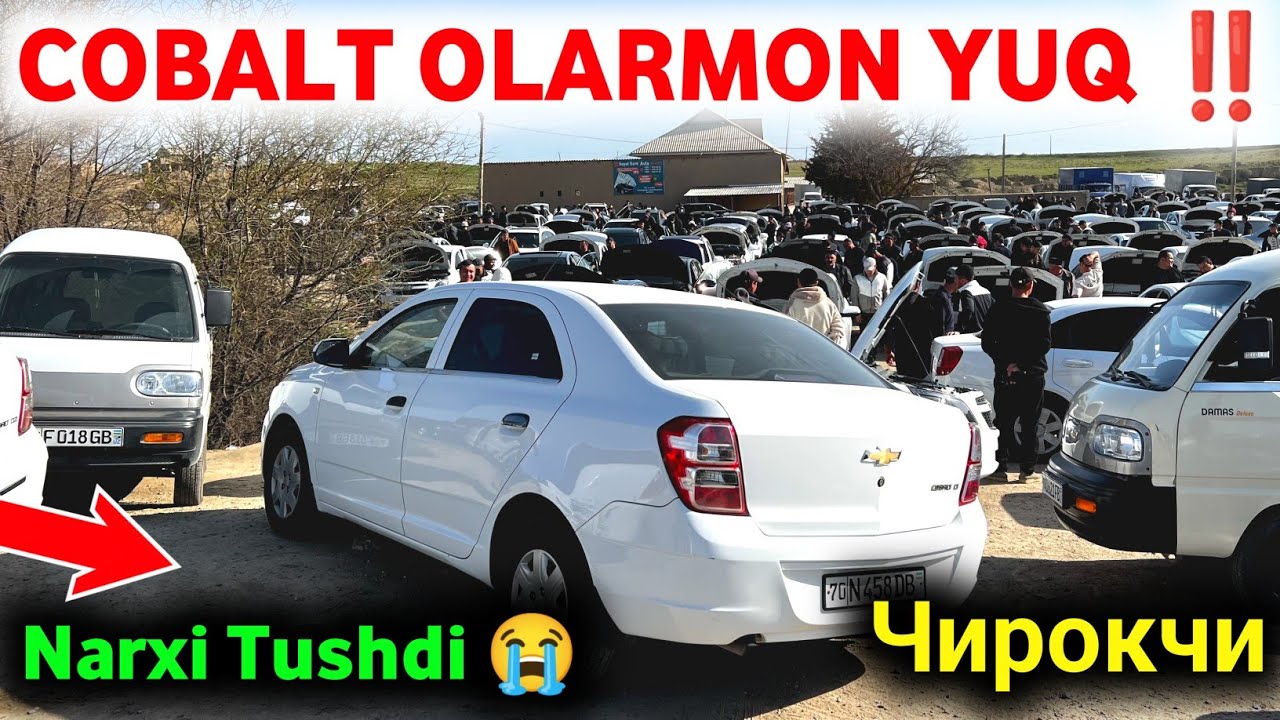 26 февраля 😰 COBALT NARXLARI 2026 TUSHDI 🤲 КОБАЛЬТ НАРХЛАРИ 2026 🔥 CHIROQCHI MOSHINA BOZORI  2026 ✅