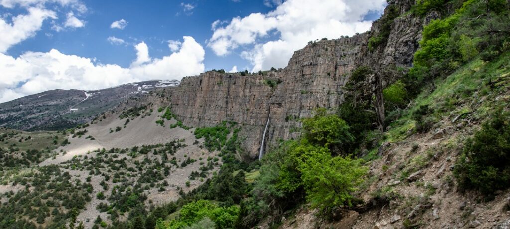 Самолет ВВС Афганистана разбился на территории Узбекистана