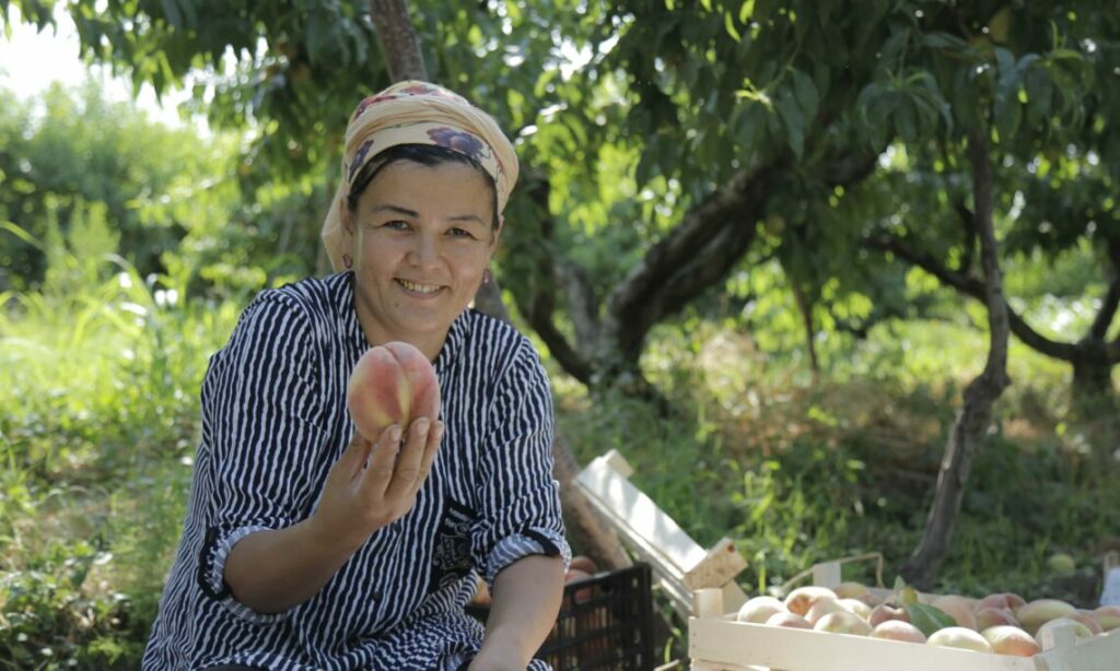 USAID объявило третий конкурс по отбору проектов агробизнеса