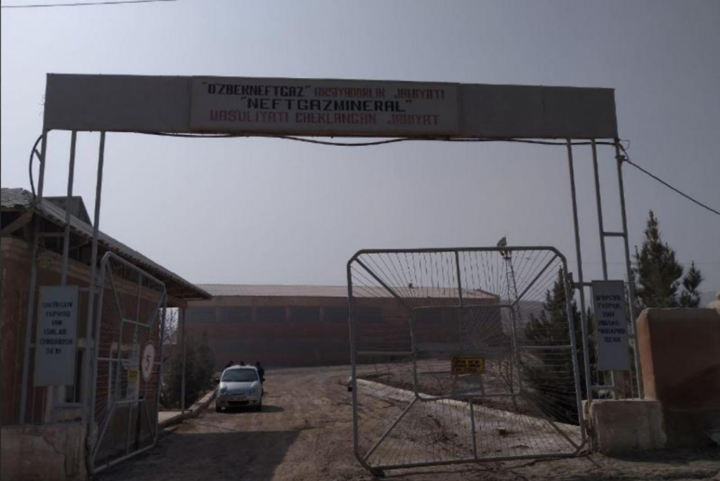 Госдолю в Neftgazmineral выставят на продажу