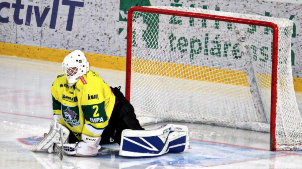 Доход Национальной хоккейной лиги упал на 68%