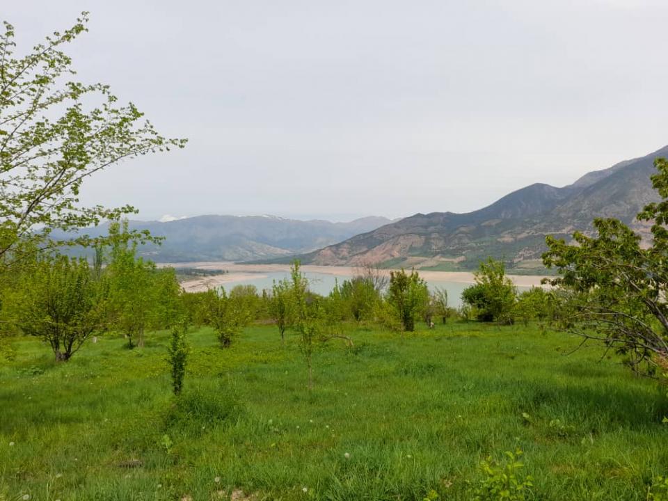 Туристическая зона у Чарвака продана за 3,1 млрд сумов