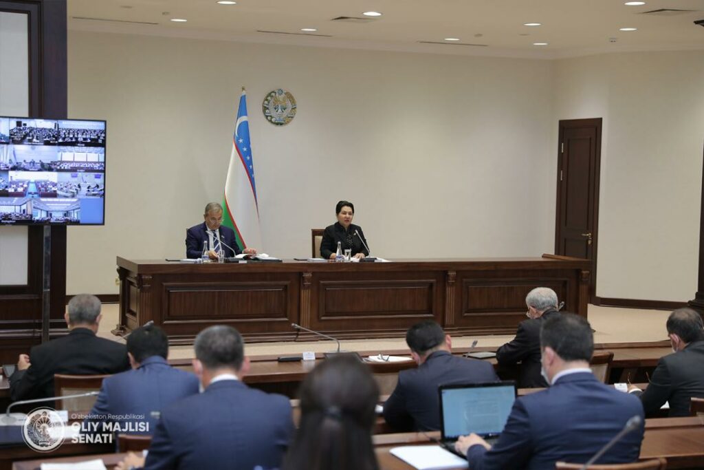 В Сенате Олий Мажлиса создан новый комитет