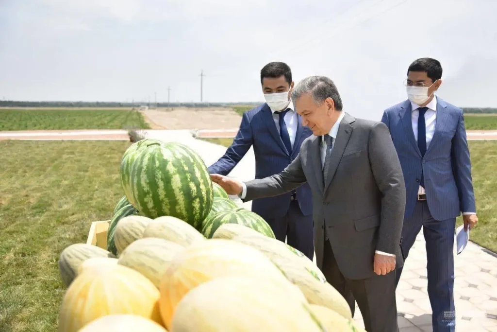 Узбекистан нарастил экспорт арбузов и дынь