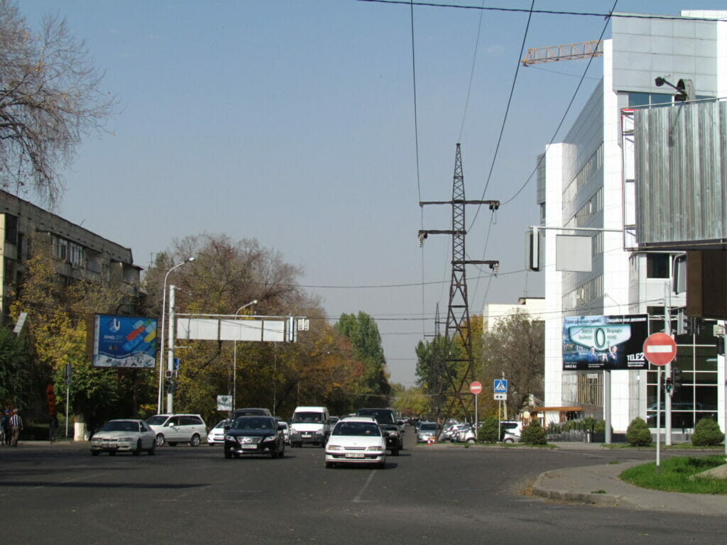 Казахстан разрешит получать ПМЖ айтишникам и врачам