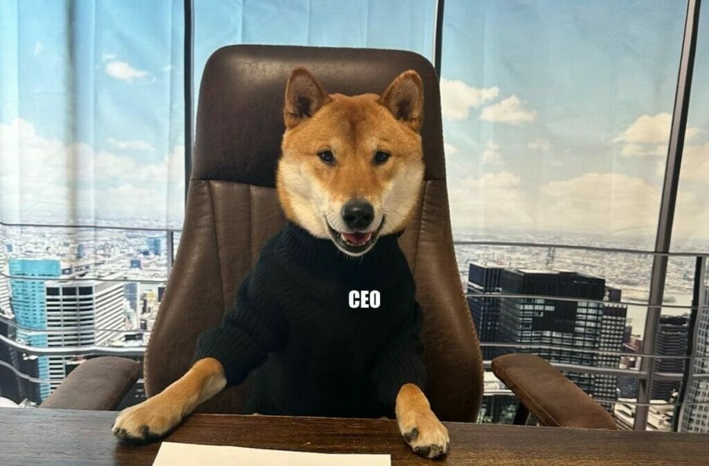 Курс криптовалюты Floki подскочил после шутки Маска