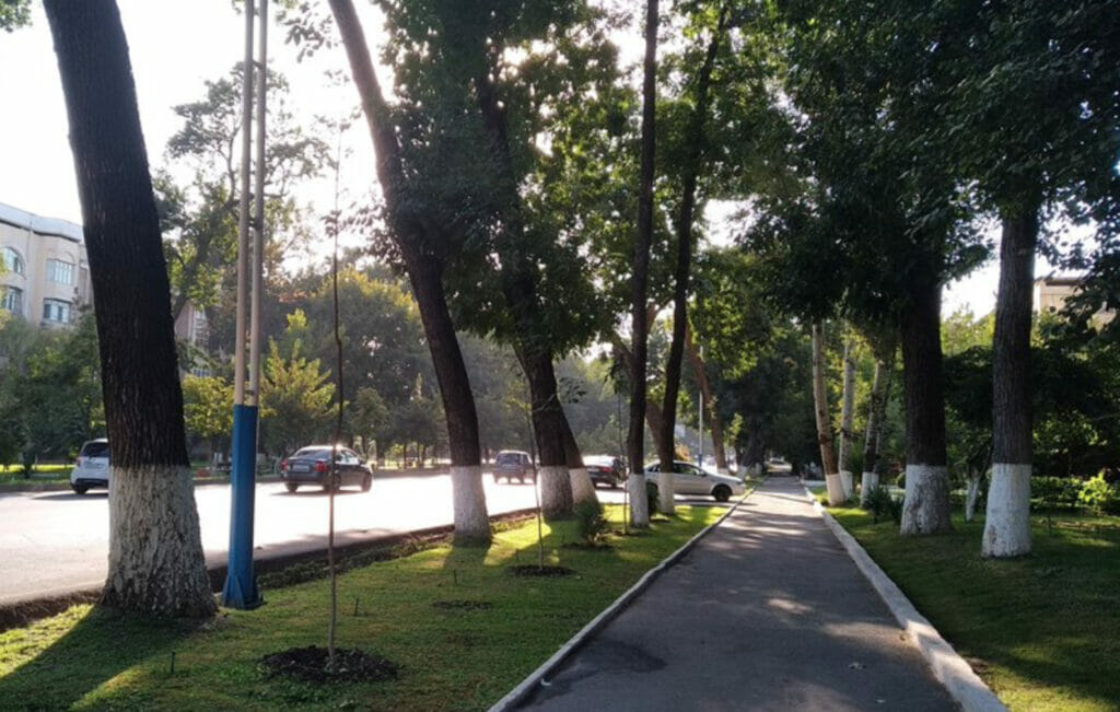 Незаконная вырубка нанесла ущерб природе на 10 млрд сумов