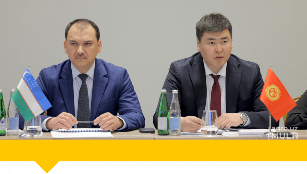 Кыргызстан предложил Узбекистану создать совместное сельхозпредприятие
