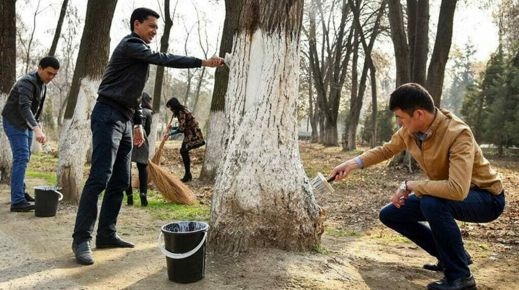Перед Наврузом проведут общенародный хашар