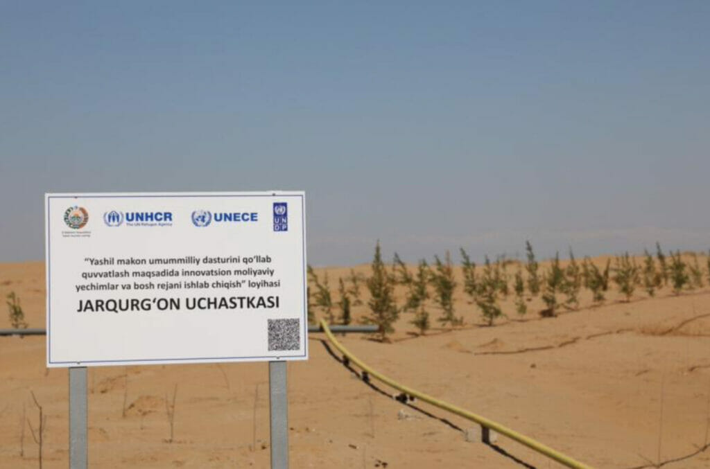 Афганские беженцы помогают озеленять районы в Сурхандарье