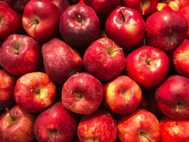 Компания из Кувейта заинтересовалась узбекскими яблоками