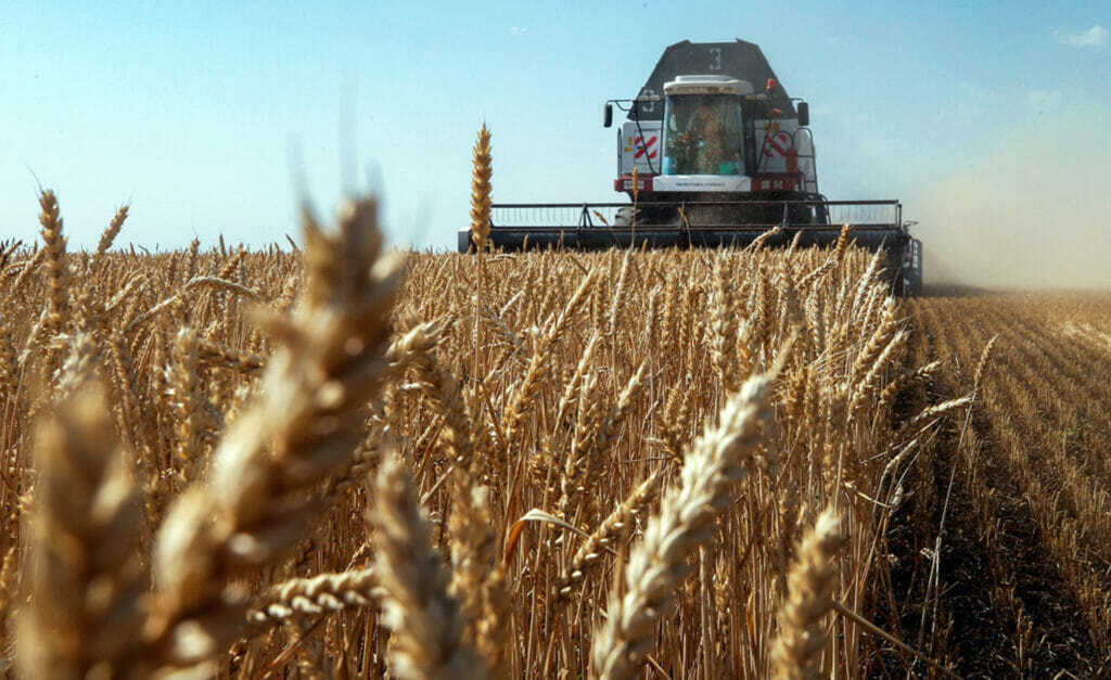 Словакия запретила продажу украинского зерна и муки