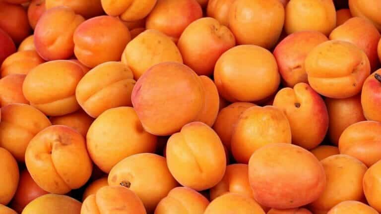 Надавили по-крупному: в Узбекистане за март сделали килотонну сока из абрикосов