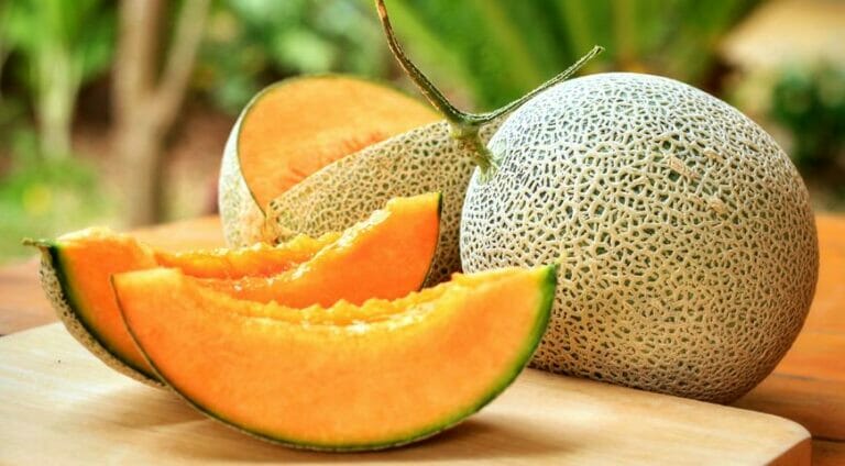 Melon from Uzbekistan to Export to USA