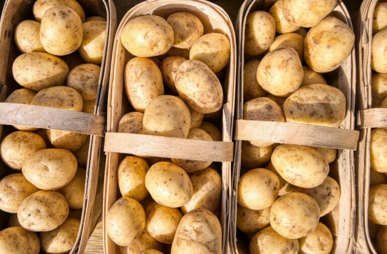 Кыргызстан завалил Узбекистан картофелем