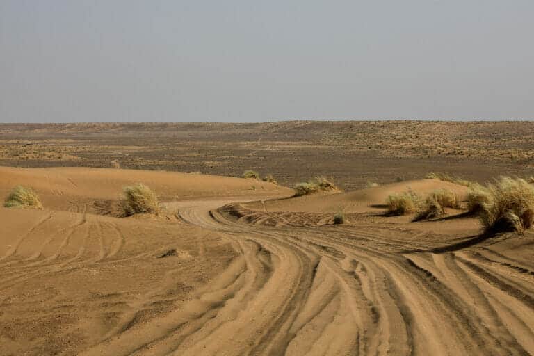 $50 mln for Desert Restoration