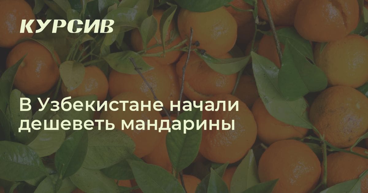 Сколько стоят мандарины в Узбекистане
