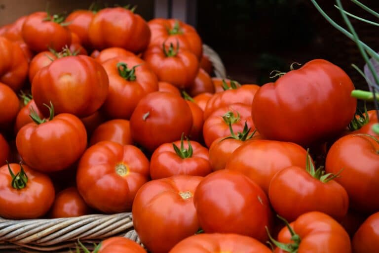 Туркменский демпинг выжил узбекские томаты с таджикского рынка