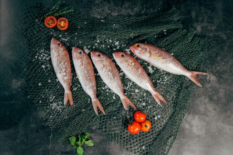 Вылов рыбы в Узбекистане вырос на 34%