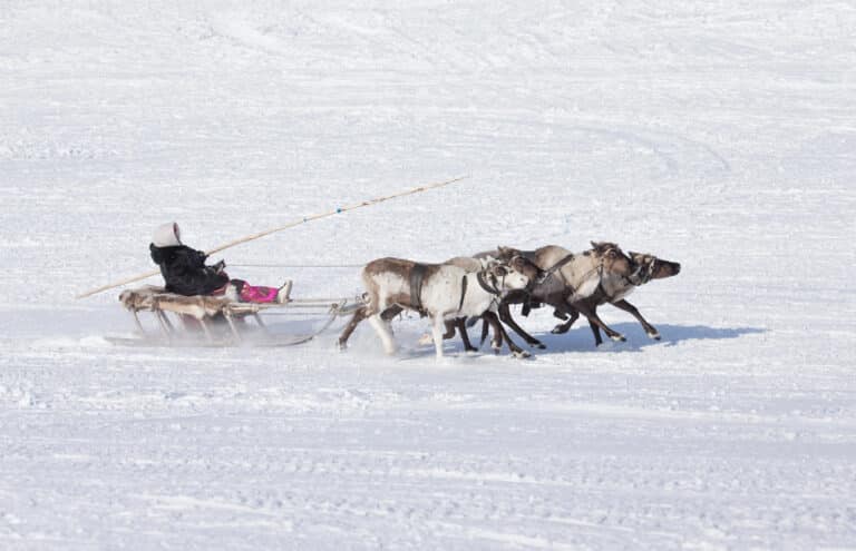 In Yakutia Migrants Banned from Many Works