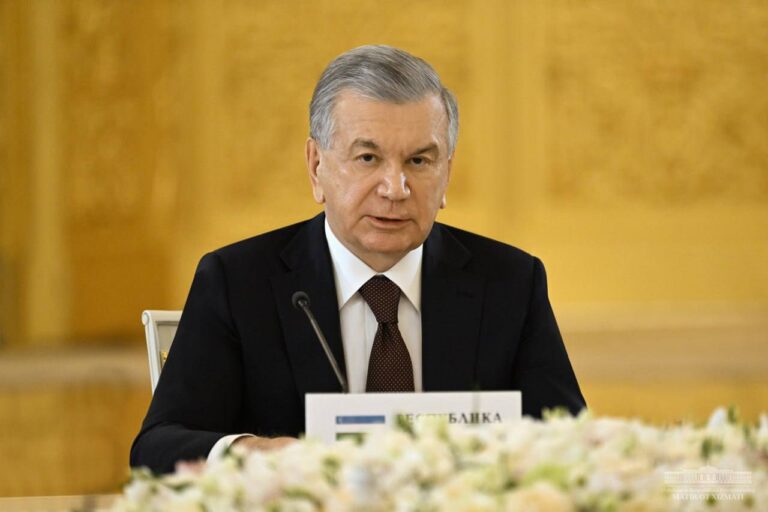 What Does Mirziyoyev Propose During CIS Heads of State Council Meeting