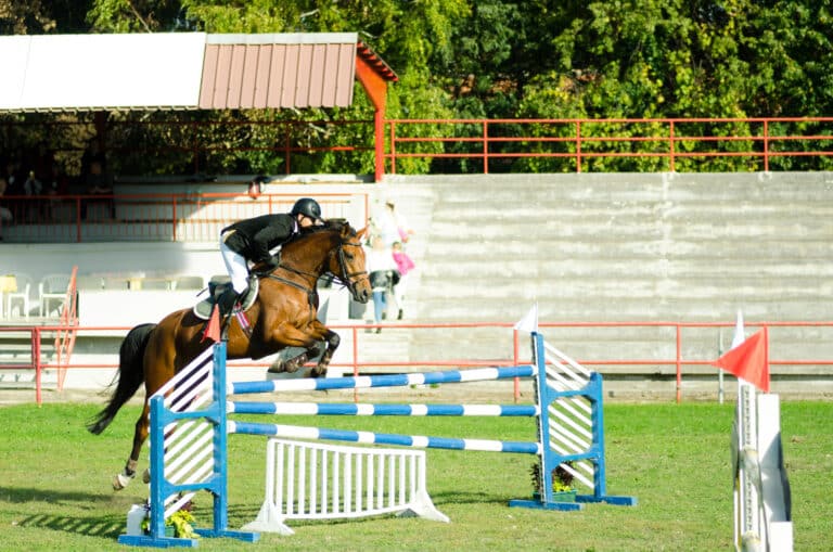 Ot sporti bo‘yicha o‘zbekistonlik chavandoz kumush medalini qo‘lga kiritdi