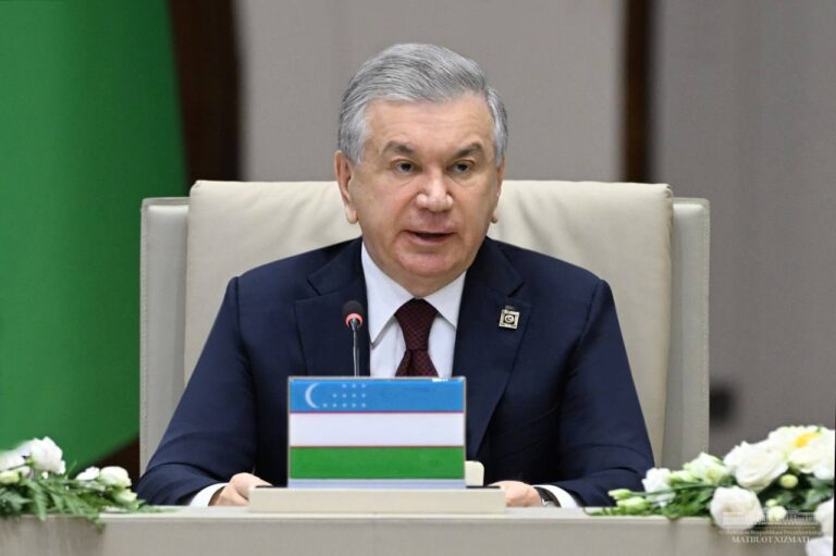 Mirziyoyev Calls for Turkic Development Bank and Economic Initiatives