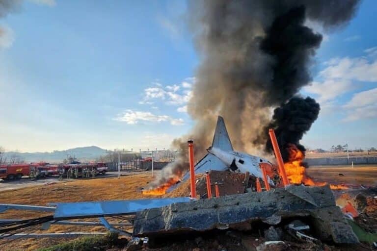 В Южной Корее разбился пассажирский самолет — видео