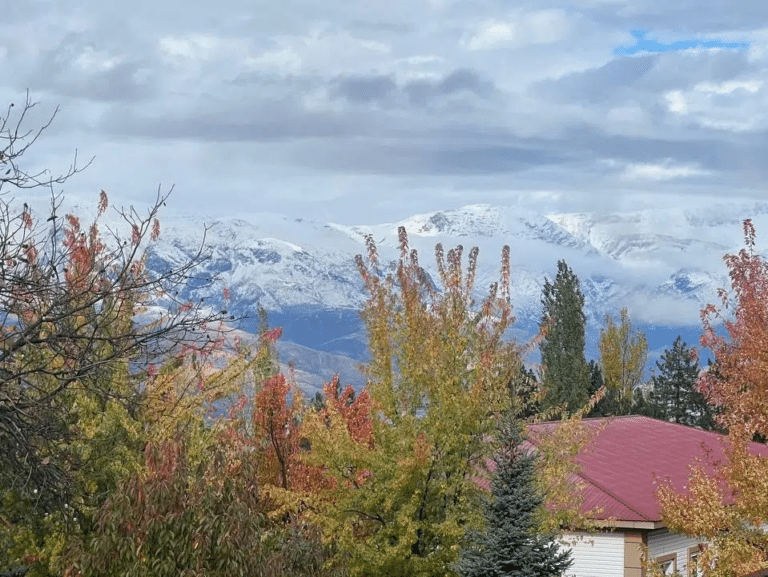 28-dekabr kuni Oʻzbekistonda qanday ob-havo kuzatiladi