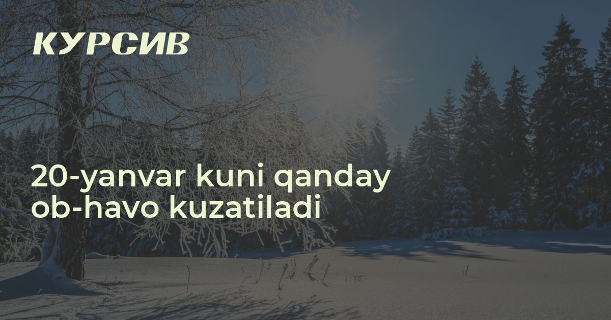 15 yanvar ob havo 2025