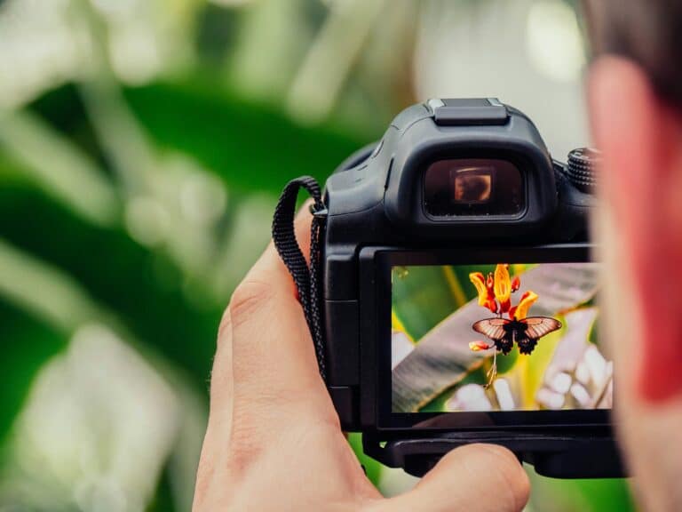 Getty Images и Shutterstock сольются