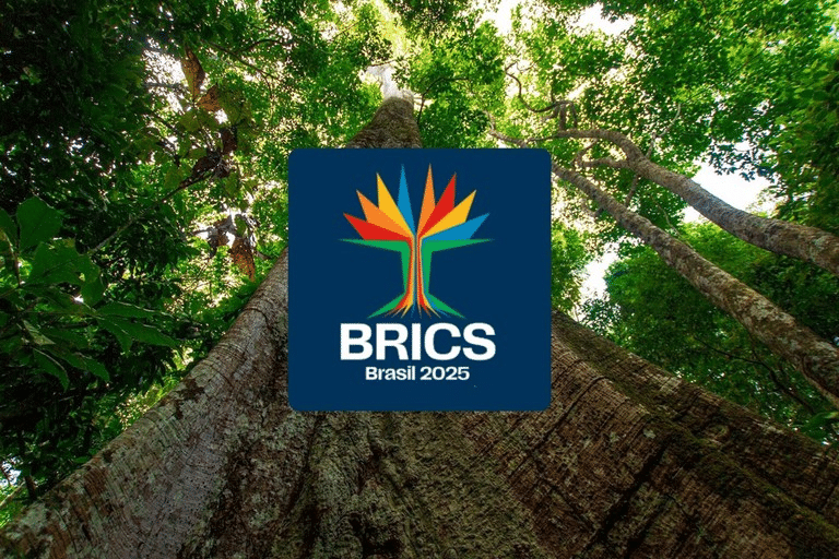 BRICS Summit 2025 To Take Place In Rio de Janeiro