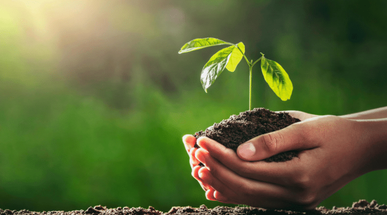 Uzbekistan's NMMC to Plant 480,000 Trees in 2025, Supporting Green Initiative