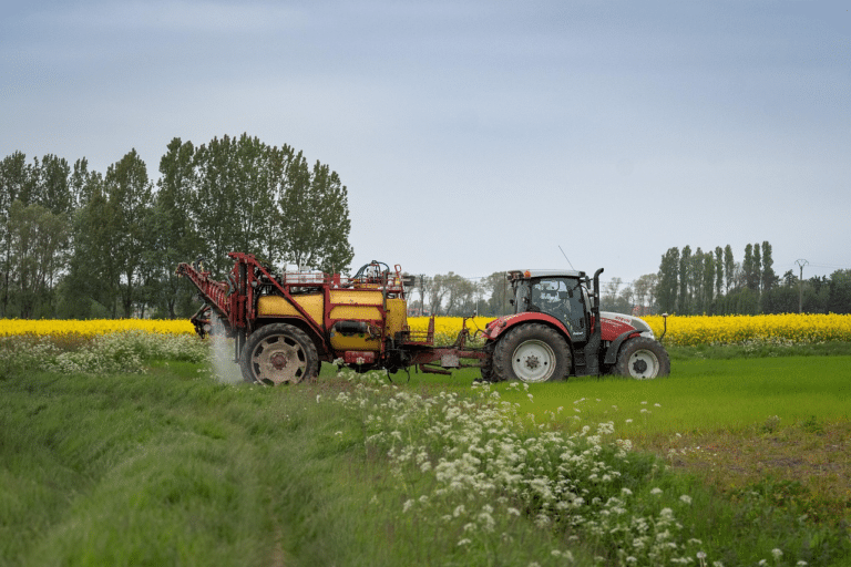 Uzbekistan to Revamp Agricultural Subsidy System for WTO Accession