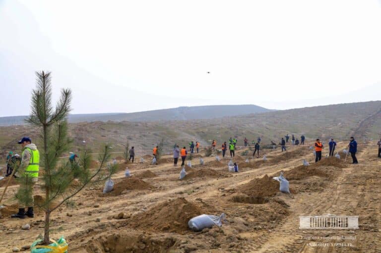 Землю вокруг водохранилища Каркидон в Фергане озеленят