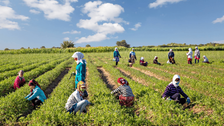 OPEC Fund Supports Uzbekistan with $35 mln Loan to Boost Its Climate Resilience