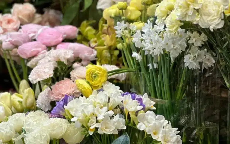 Toshkentda 6–9-may kunlari gullar bayrami o‘tkaziladi