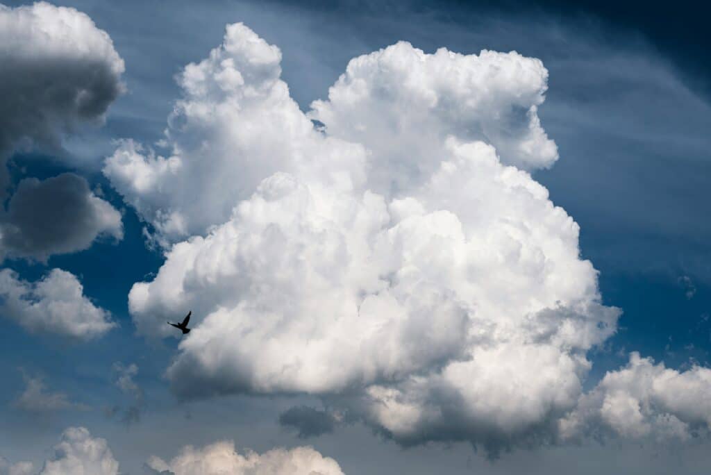 10-aprel kuni havo harorati o‘rtacha 22-28 daraja bo‘ladi