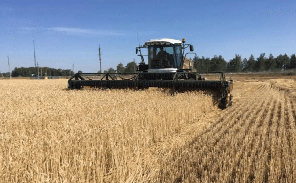 agriculture