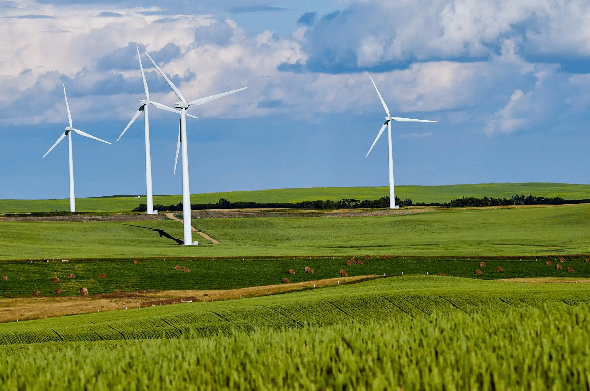 renewable energy