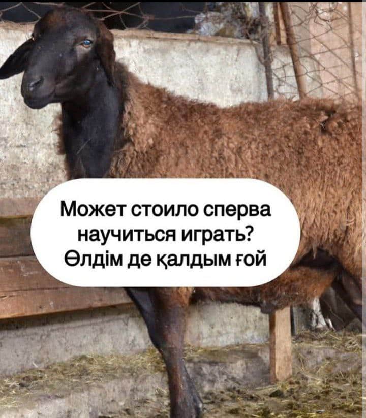 Жертвоприношение