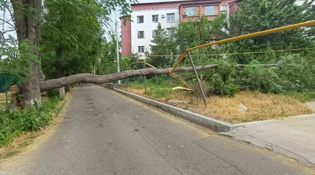 Сильный ветер в Ташкенте