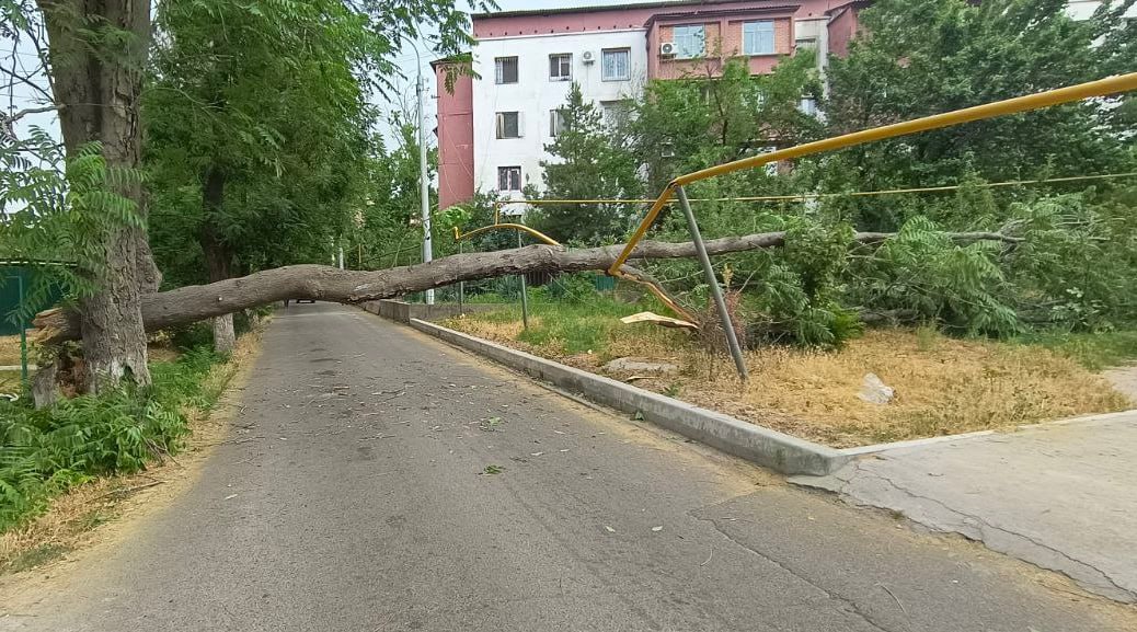 Сильный ветер в Ташкенте