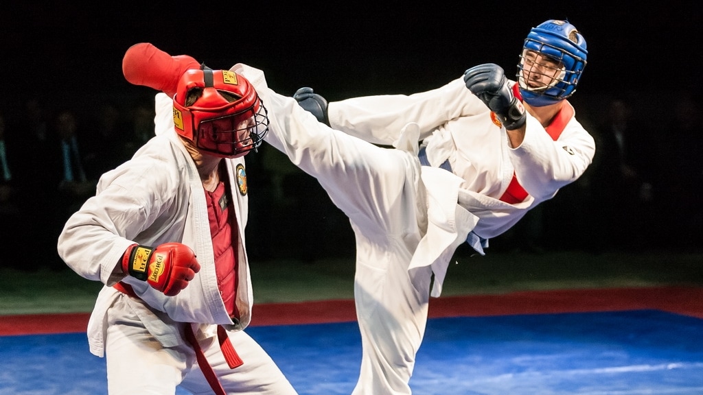 Фото: Meta MMA