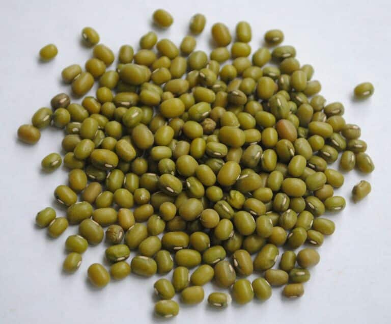 Uzbekistan Supplies Most of Its Mung Bean Exports to China in Early 2025