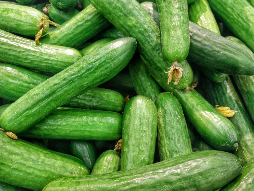 Экспорт огурцов