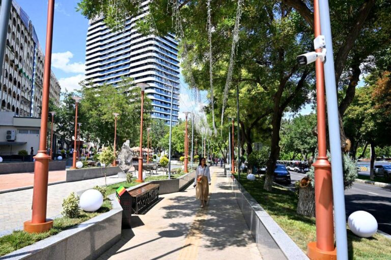 President Inspects New Gastro Street Along Bunyodkor Avenue