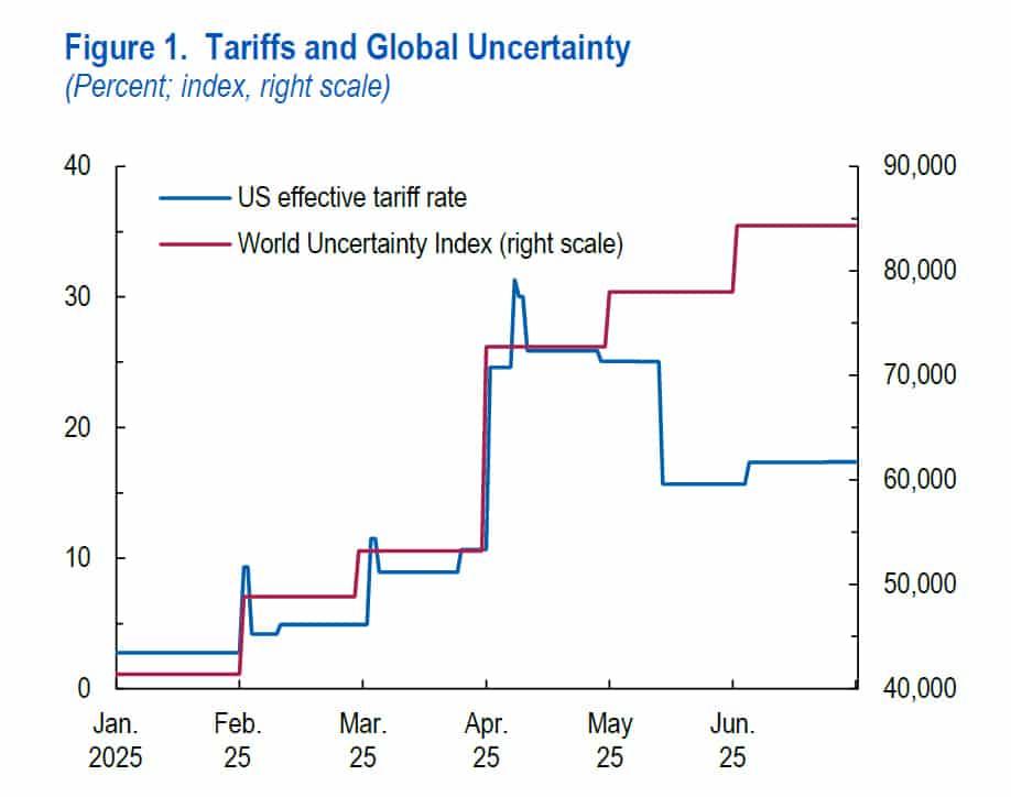 imf report