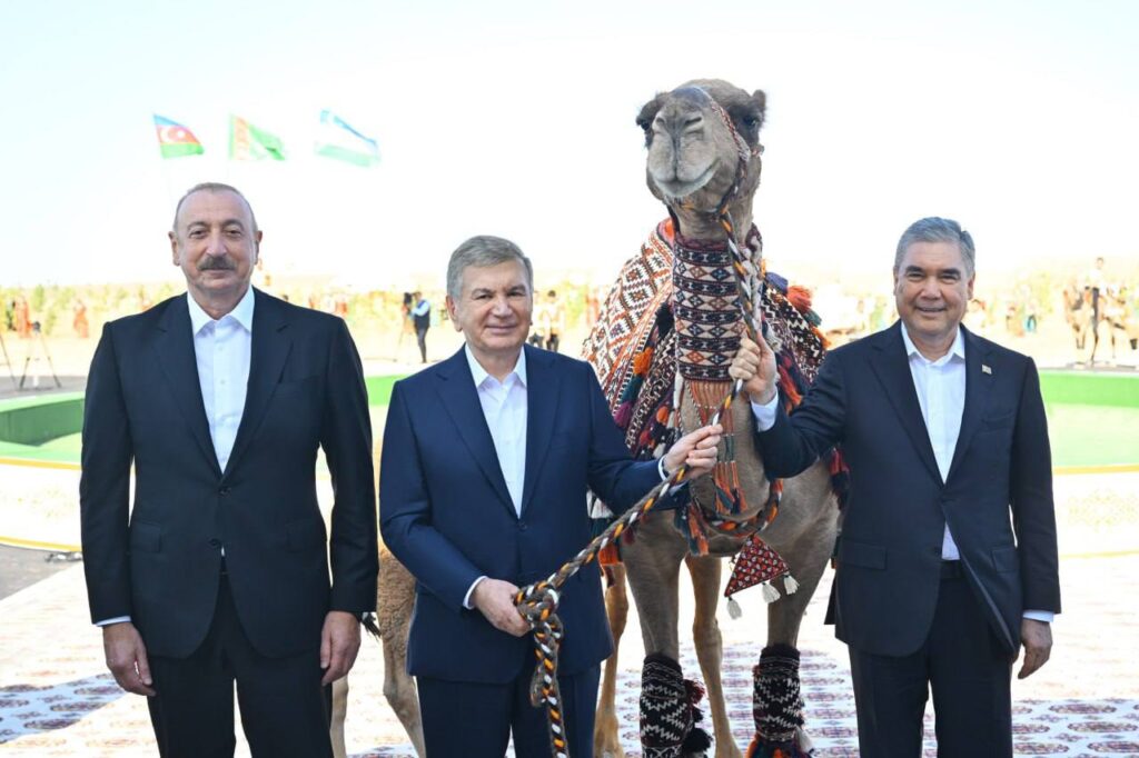 Berdimuhammedov Mirziyoyevga tuyalar sovg‘a qildi / Foto: President.uz